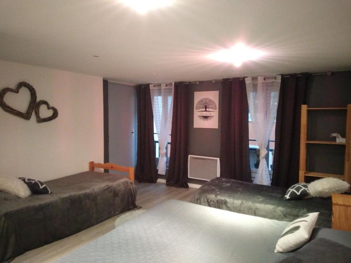 Espace Grenouillit Le Puy En Velay Ngoại thất bức ảnh